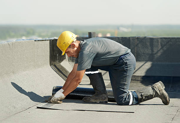 Best Residential Insulation in Walterboro, SC