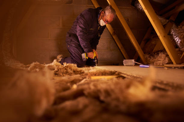 Best Insulation Maintenance and Repair in Walterboro, SC